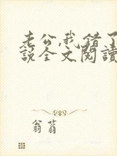 老公,我错了小说全文阅读