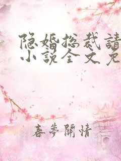 隐婚总裁请签字小说全文免费阅读