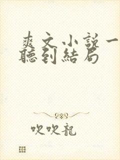 爽文小说一口气听到结局