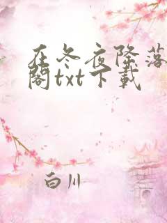 在冬夜降落笔趣阁txt下载