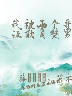 我被两个哥哥轮流欺负双男主