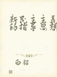 新民主主义革命的指导思想.