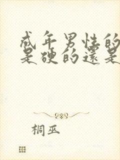 成年男性的睾丸是硬的还是软的