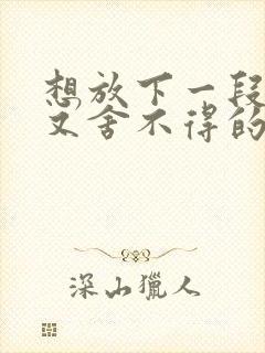 想放下一段感情又舍不得的句子