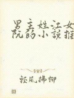 男主姓江女主姓阮的小说推荐