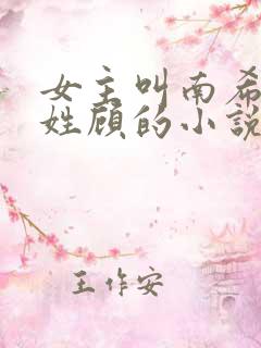 女主叫南希男主姓顾的小说