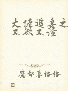 大佬追妻之夫人又欲又渣