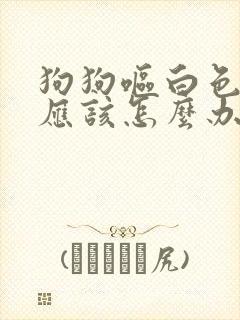 狗狗呕白色泡沫应该怎么办