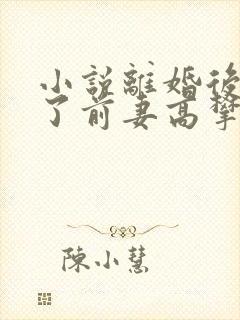 小说离婚后我成了前妻高攀不起的神