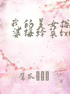 我的美女总裁老婆梅干菜txt
