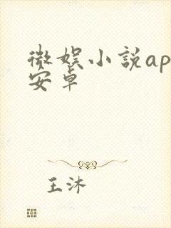 微娱小说app安卓