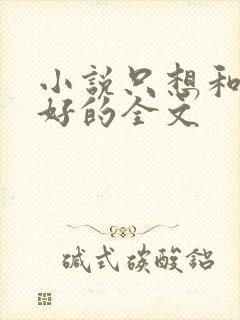 小说只想和你好好的全文