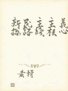 新民主主义革命总路线核心