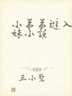 小弟弟进入小妹妹小说