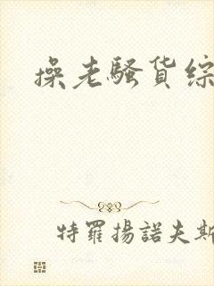 操老骚货综合网