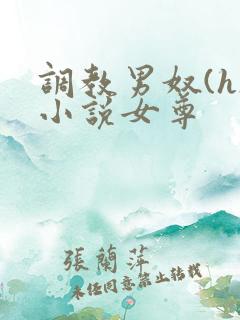 调教男奴(h)小说女尊