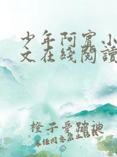 少年阿宾小说全文在线阅读