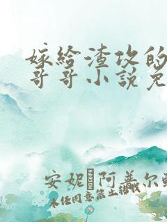 嫁给渣攻的反派哥哥小说免费