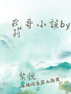 我哥小说by雪莉