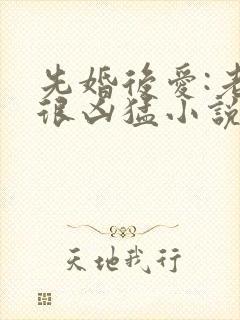 先婚后爱:老公很凶猛小说免费阅