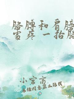 胳膊和肩膀连接处疼 一抬胳膊就疼怎么回事