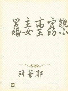 男主高官觊觎已婚女主的小说