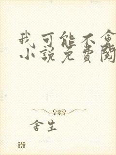 我可能不会爱你小说免费阅读