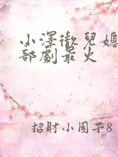 小泽彻儿媳妇哪部剧最火