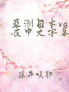 亚洲日本va午夜中文字幕久久