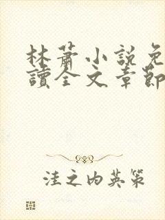 林萧小说免费阅读全文章节