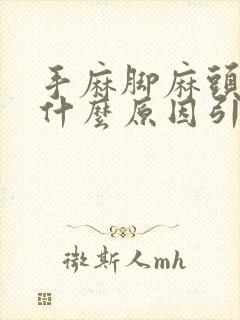 手麻脚麻头昏是什么原因引起的