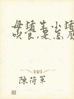 母猪生小猪后不吃食,是怎么回事