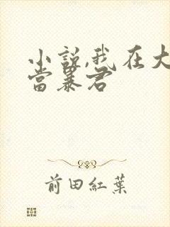 小说,我在大明当暴君