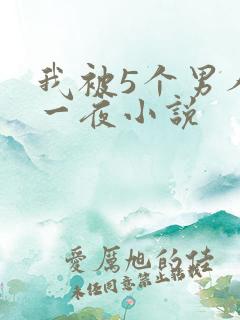 我被5个男人躁一夜小说