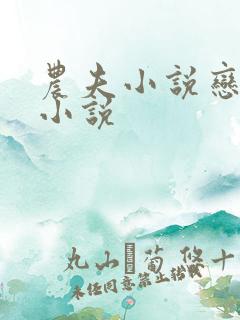 农夫小说恋老妇小说