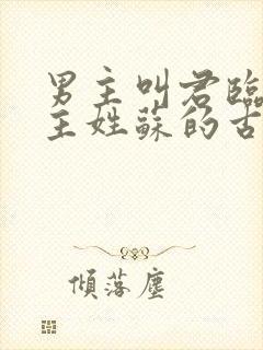 男主叫君临渊女主姓苏的古言小说