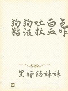 狗狗吐白色泡沫粘液拉血咋办