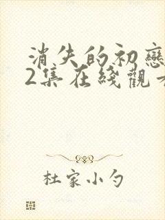 消失的初恋全12集在线观看