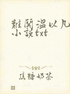 难哄温以凡桑延小说txt