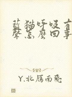 蓝猫呼吸有呼噜声怎么回事