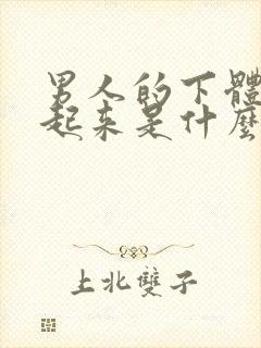 男人的下体硬不起来是什么原因