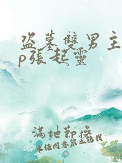 盗墓双男主文cp张起灵