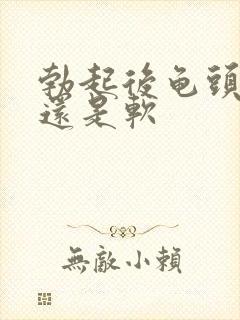 勃起后龟头是硬还是软