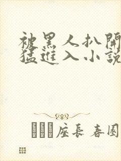 被黑人扒开双腿猛进入小说