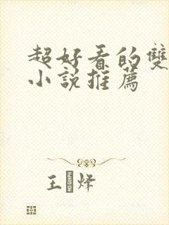 超好看的双男主小说推荐