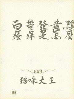 白带发黄,阴部瘙痒是怎么回事