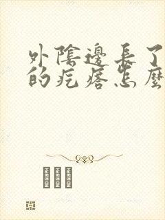 外阴边长了硬硬的疙瘩怎么回事