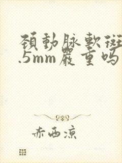 颈动脉软斑块1.5mm严重吗