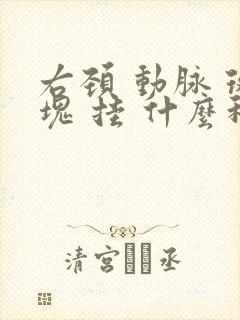 右颈 动脉 斑块 挂 什么科