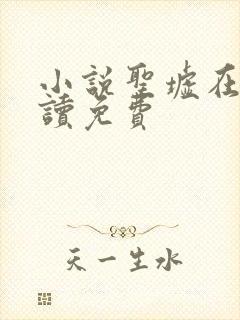 小说圣墟在线阅读免费